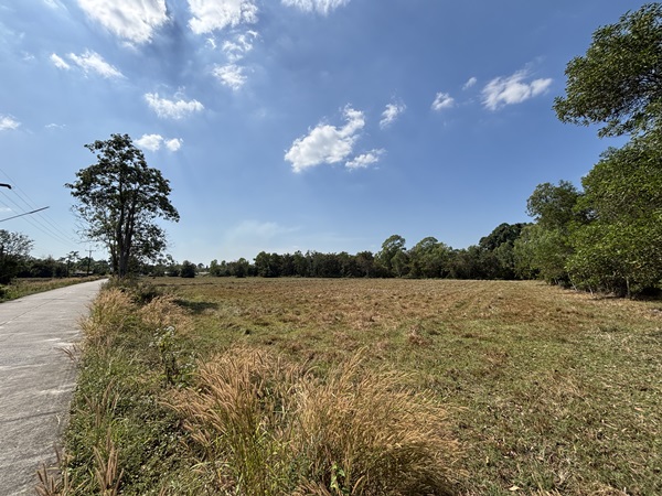 ขายที่ดิน 13 ไร่ 63 ตร.ว. บ้านนา นครนายก ถนนสุวรรณศร ยกแปลก หรือแบ่งก็ได้ โทร 089-7411750